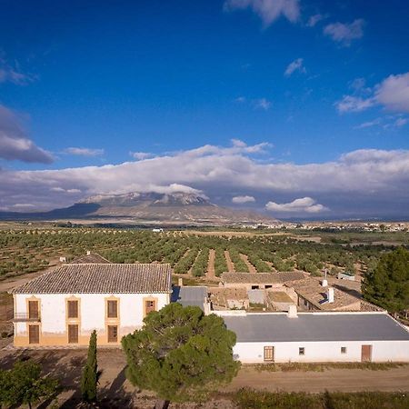 Cueva El Murallon Benamaurel Kültér fotó